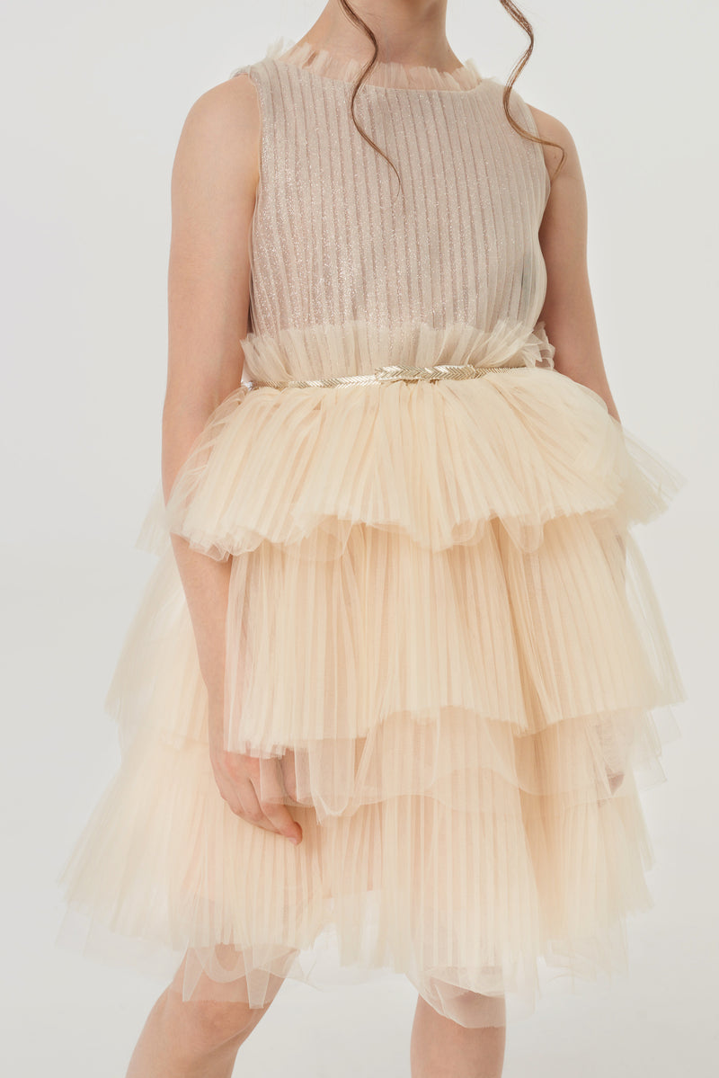 MultiTiered Pleated Skirt Dress