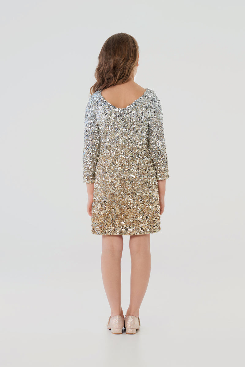 Soft Sequins Coctail Dress