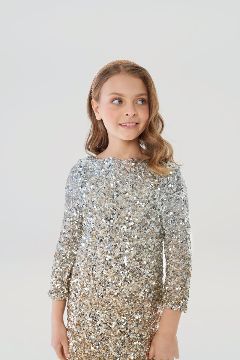 Soft Sequins Coctail Dress