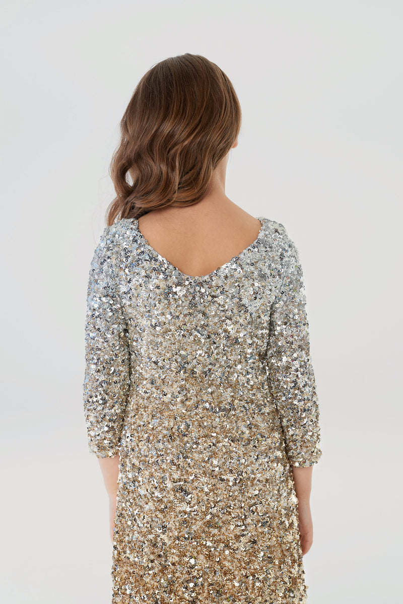 Soft Sequins Coctail Dress