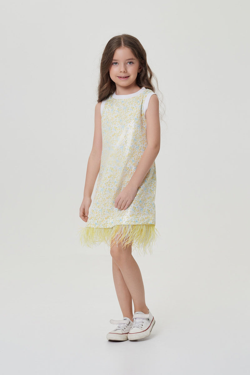 A-silhouette Sequins and Feathers Decorated Shiffon Dress