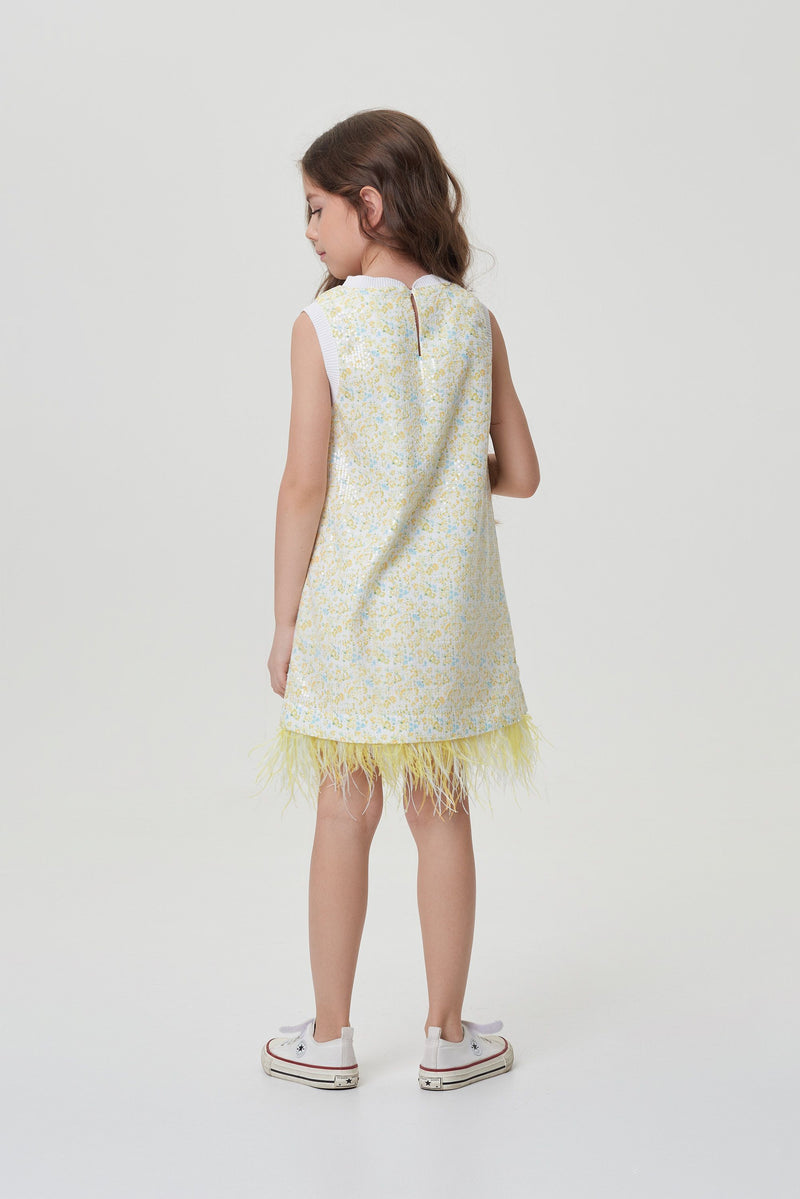 A-silhouette Sequins and Feathers Decorated Shiffon Dress