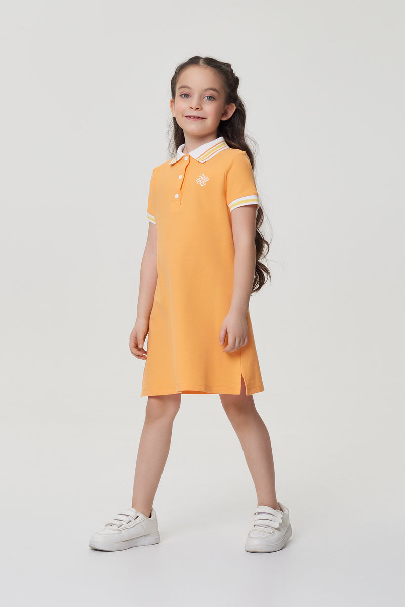 Polo Dress