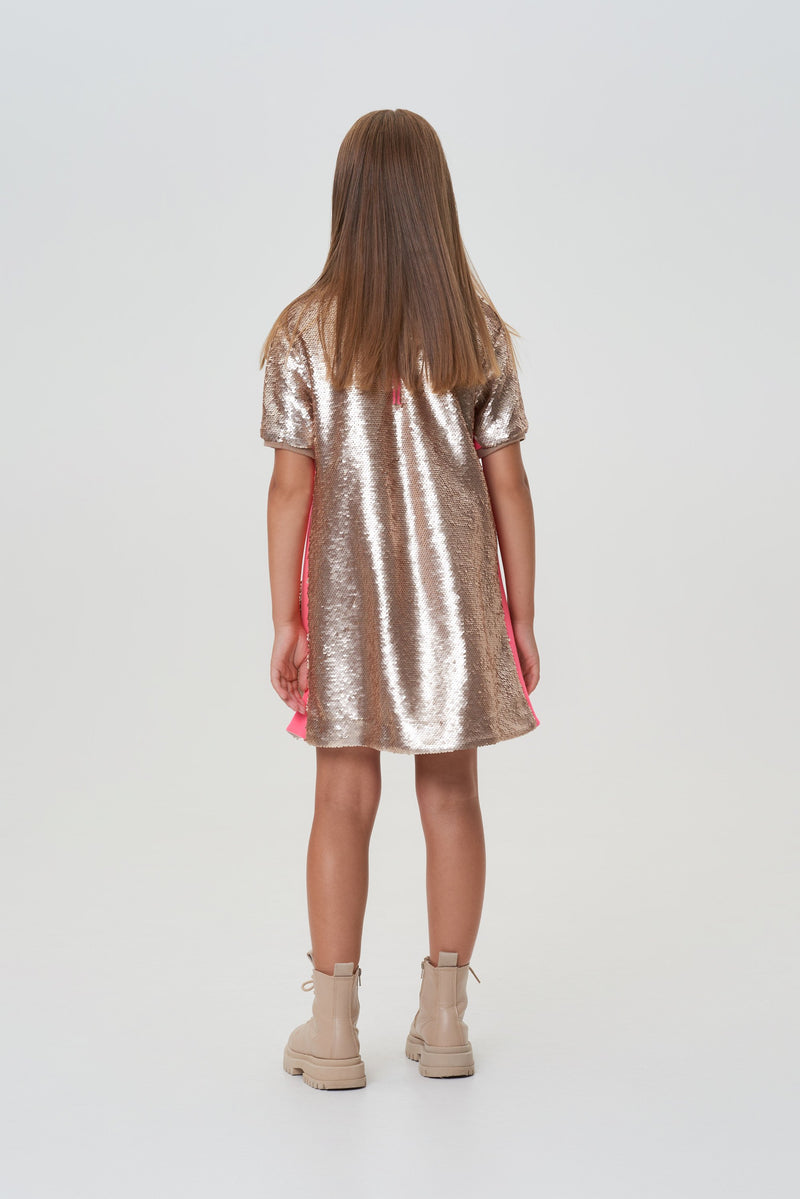 Sequins Decorated Dress