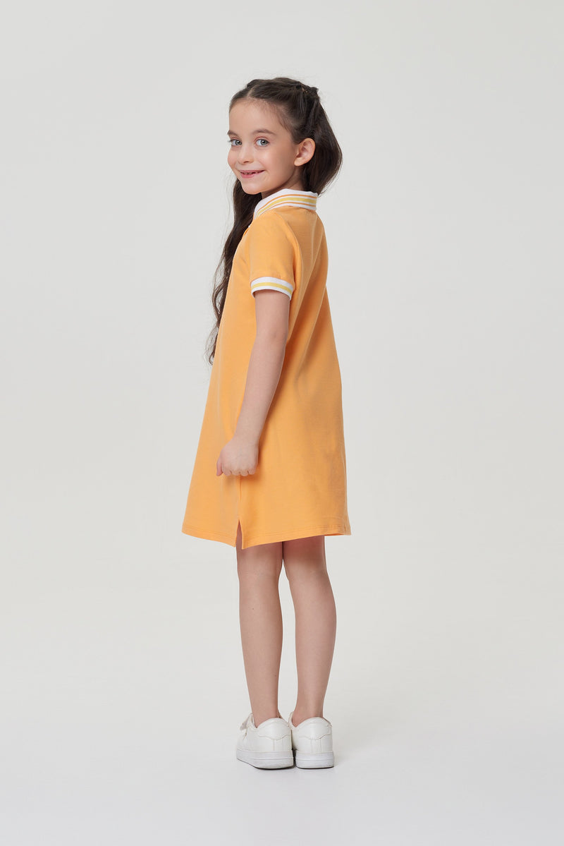 Polo Dress