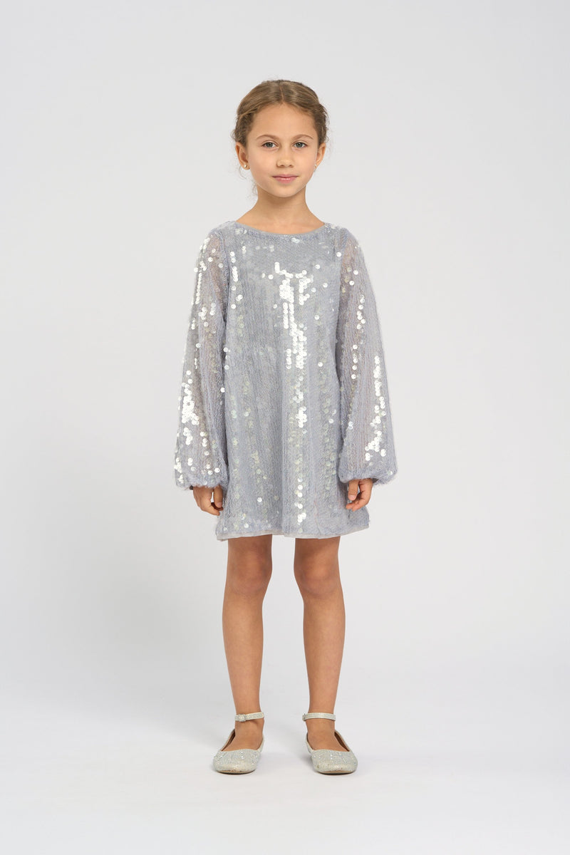 Sequins Decorated Dress