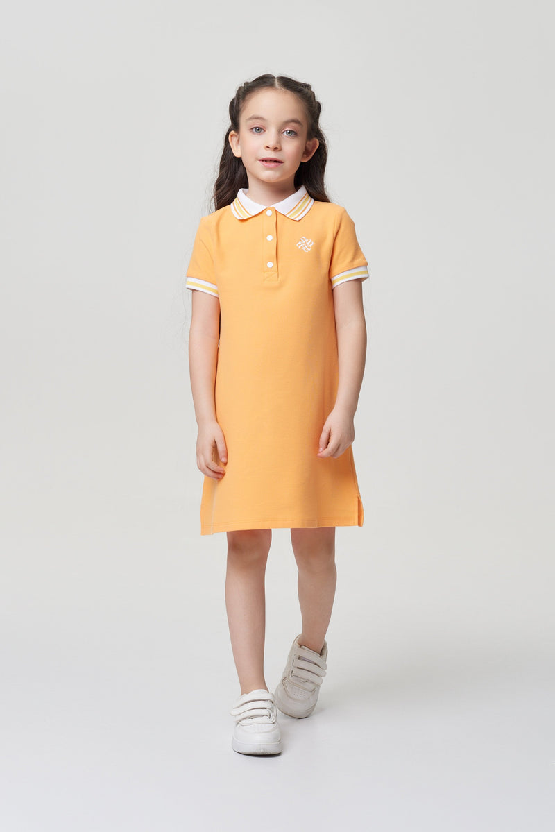 Polo Dress