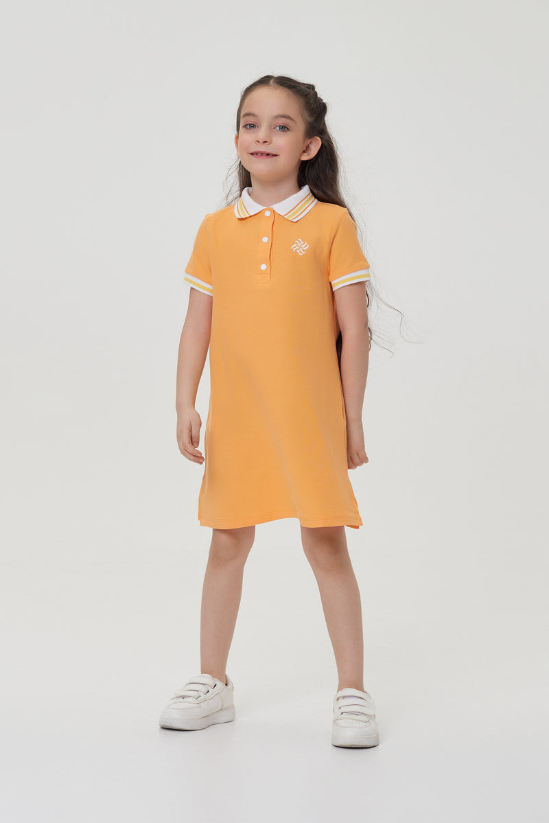 Polo Dress