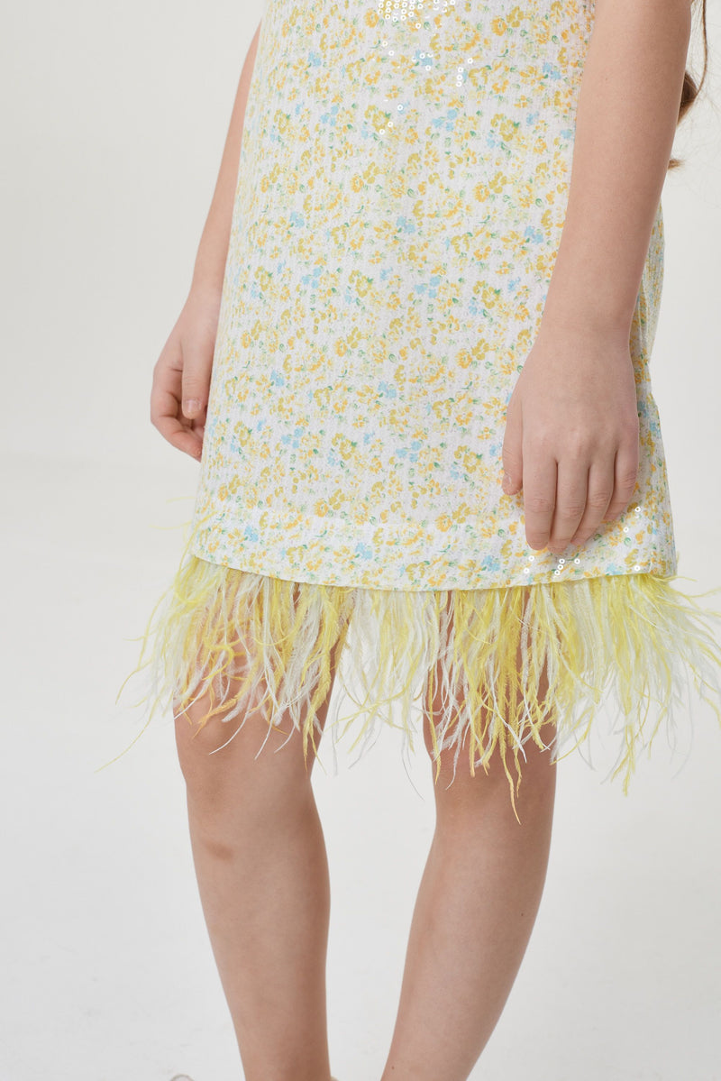 A-silhouette Sequins and Feathers Decorated Shiffon Dress