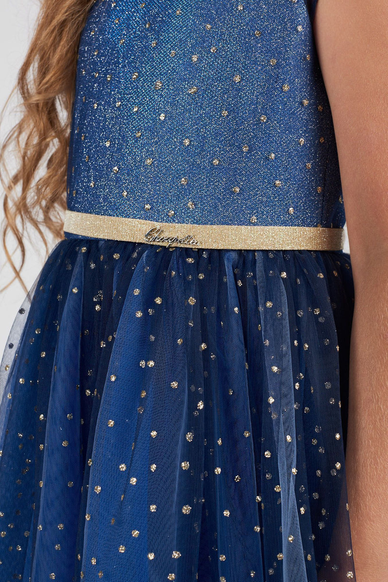 Gold Glitter Fluffy Dress