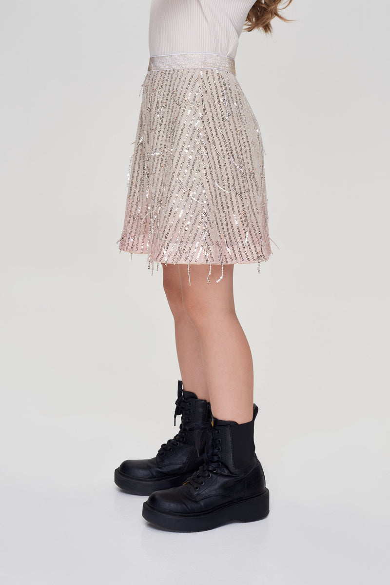 Sequins Mesh Skirt