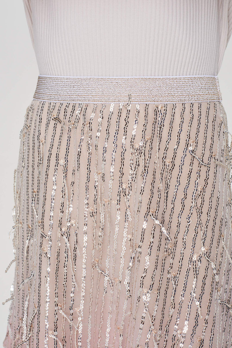 Sequins Mesh Skirt